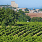 découvrez le village mythique de châteauneuf-du-pape, où l'histoire se mêle à des vins d'exception. explorez ses richesses culturelles et gastronomiques, tout en savourant des crus renommés dans un cadre idyllique.